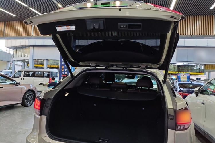 Used Lexus RX 2020 Facelifted 300 4x4 Elegant Edition
