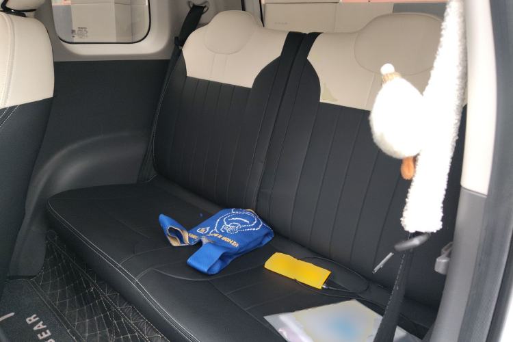 Used CHANGAN NEVO Lumin 2024 130km Qingyue Version Left Rear Seat