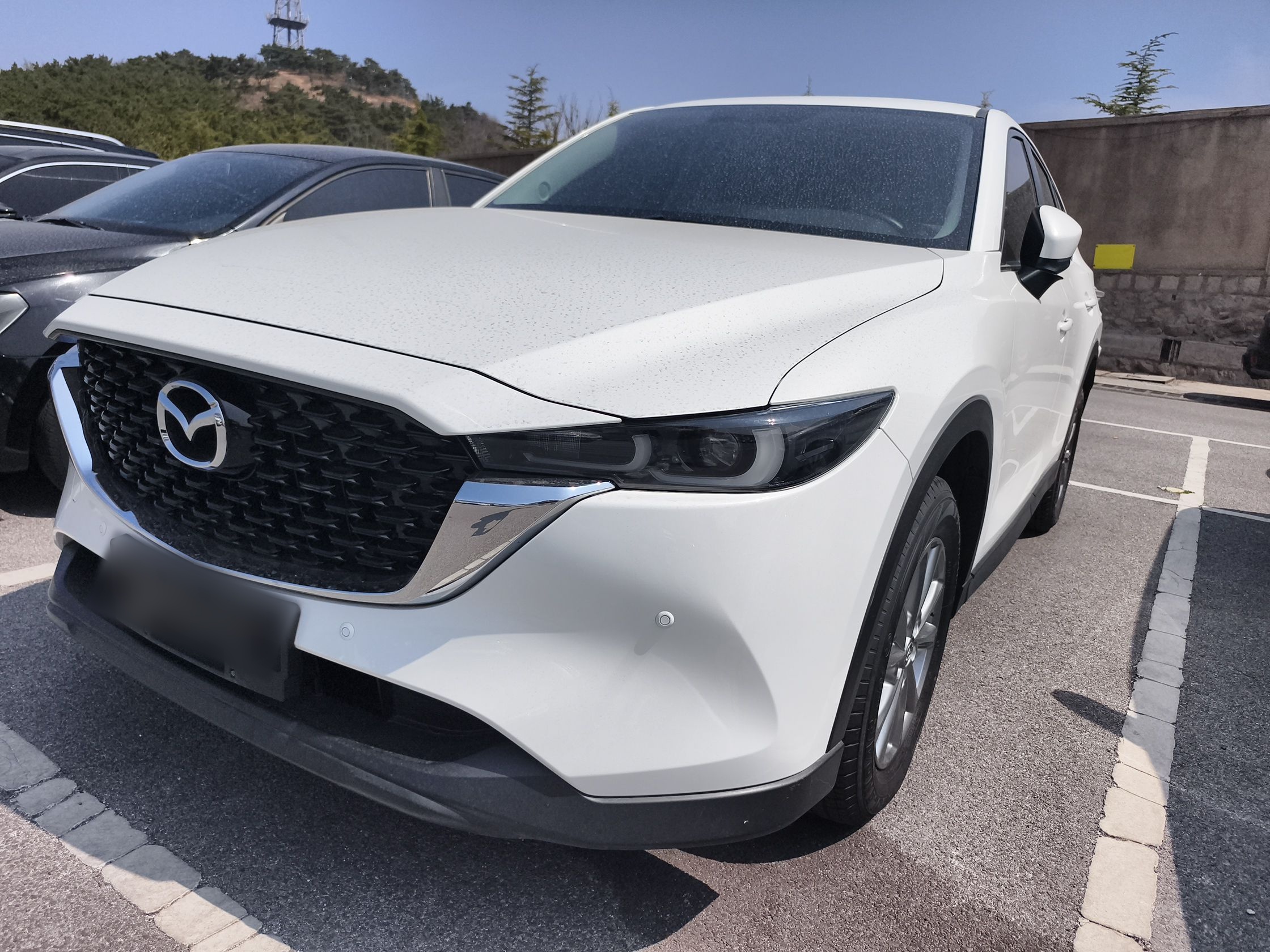 تحت مقدمة السيارة