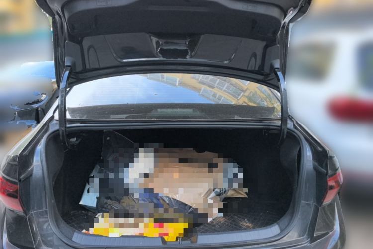 Used Volkswagen Sagitar 2023 300TSI DSG Excellence Edition