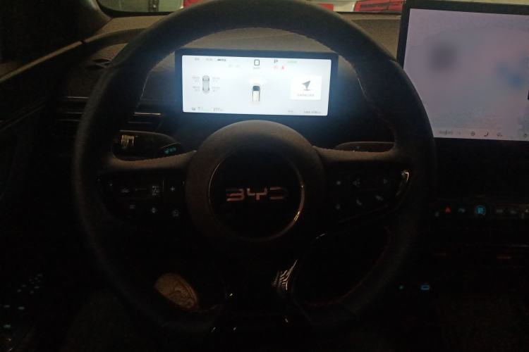 Used BYD Seagull 2025 Smart Drive Version 305 km Freedom Edition
