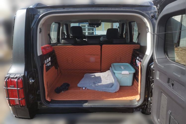 Used Tank 300 2024 2.0T Conqueror