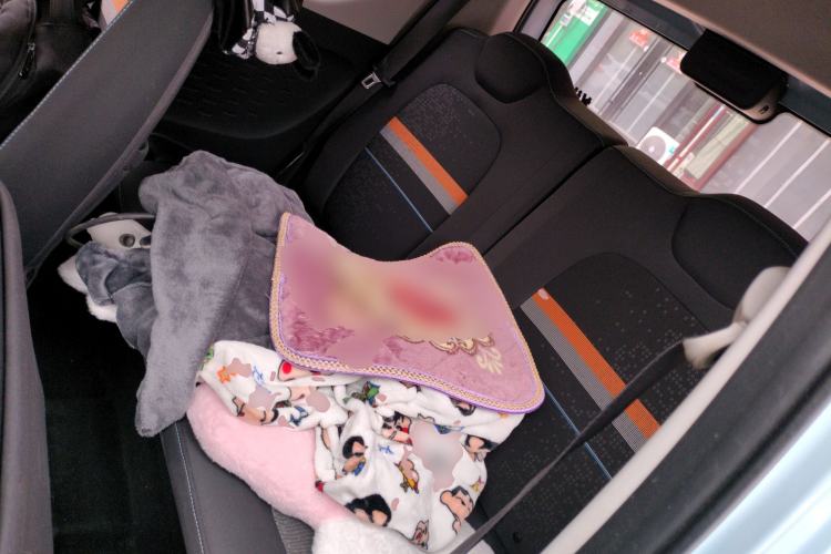 Used Wuling Hongguang MINIEV 2020 Zizai Version Lithium-NMC Left Rear Seat