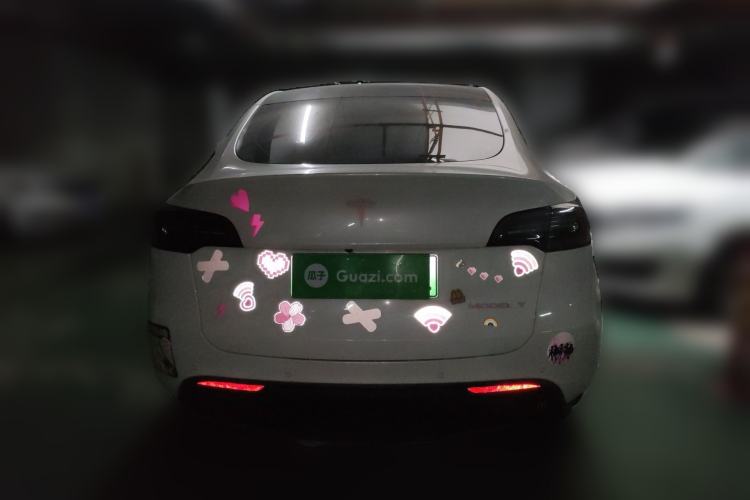 Used Tesla Model Y 2021 Standard Range Rear-Wheel Drive Version Rear