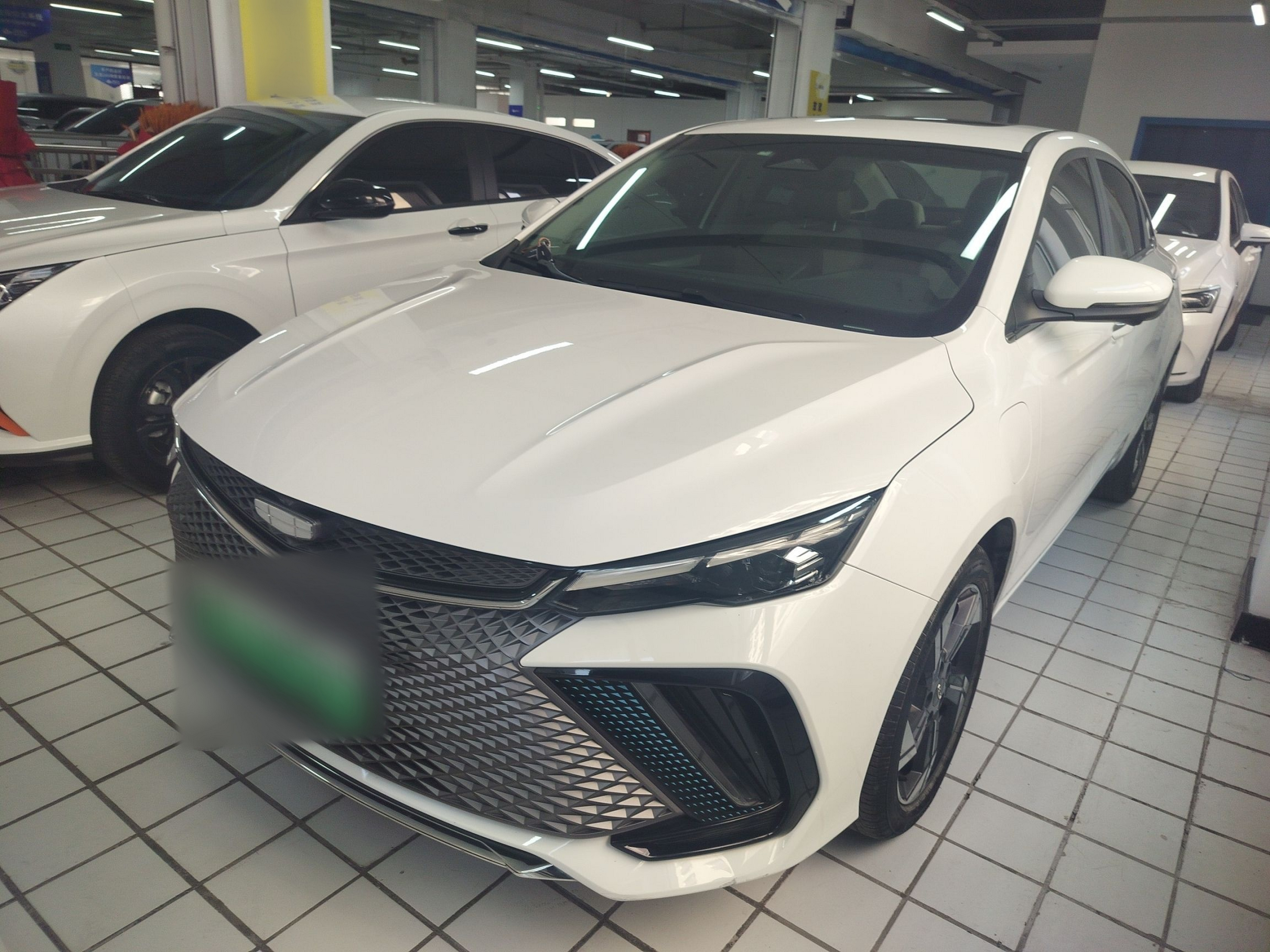 Parte inferior delantera