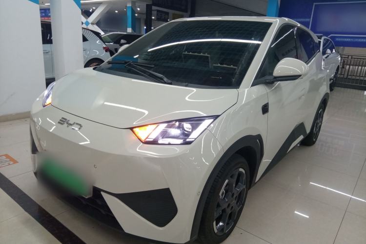 Used BYD Seagull 2025 Smart Drive Version 305 km Freedom Edition