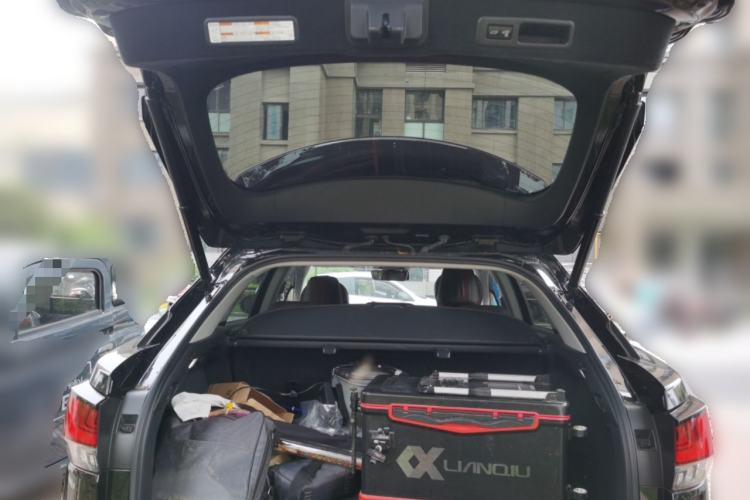 Used Lexus RX 2020 Revised Version 300 Two-Wheel Drive Comfort Edition