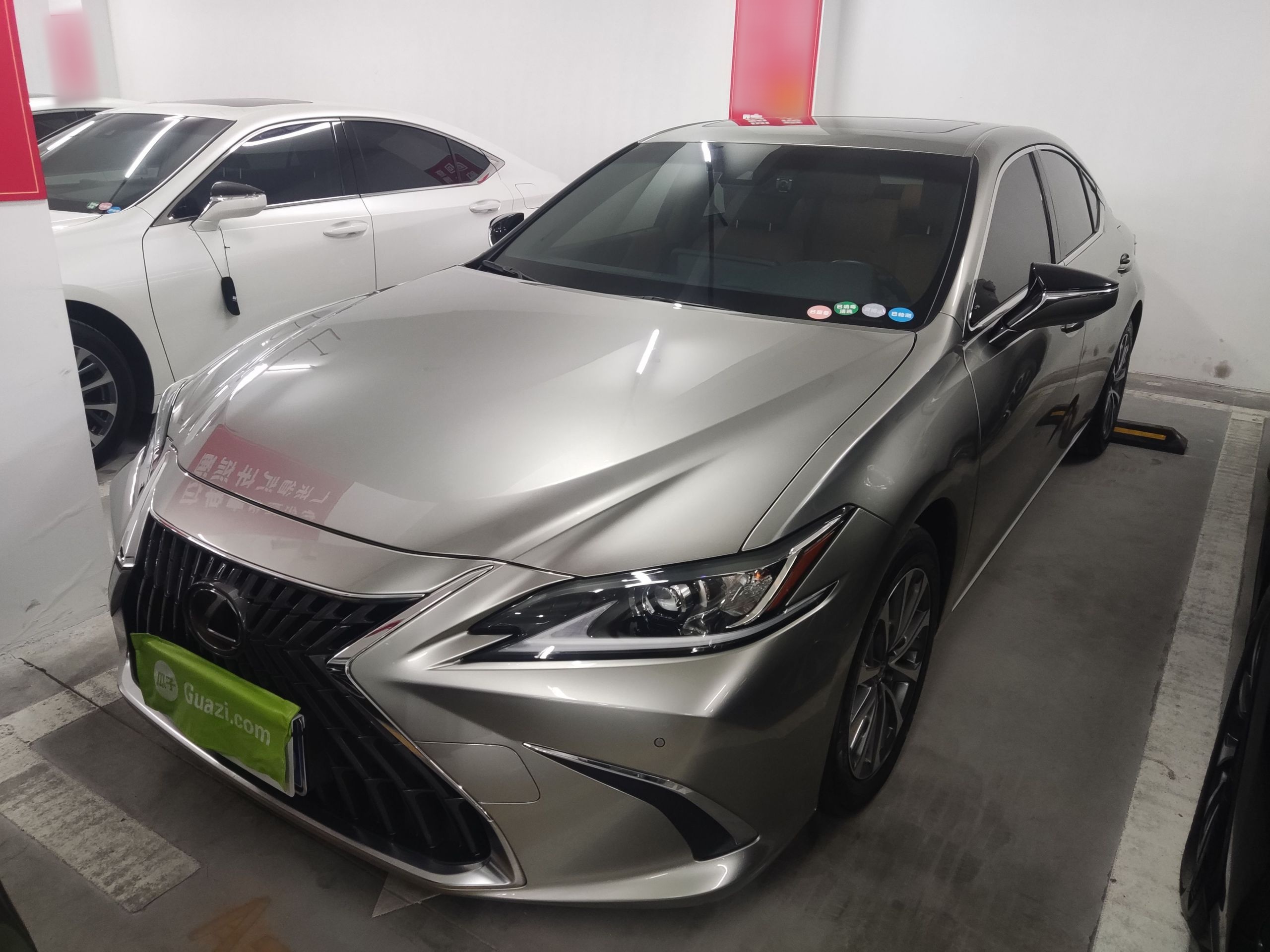 Parte inferior delantera