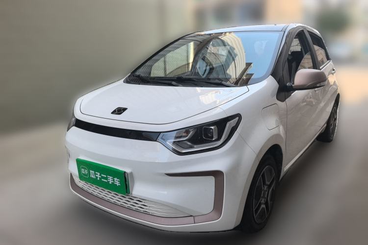 Used SOL E10X 2022 Flower Fairy Design Four-Leaf Clover