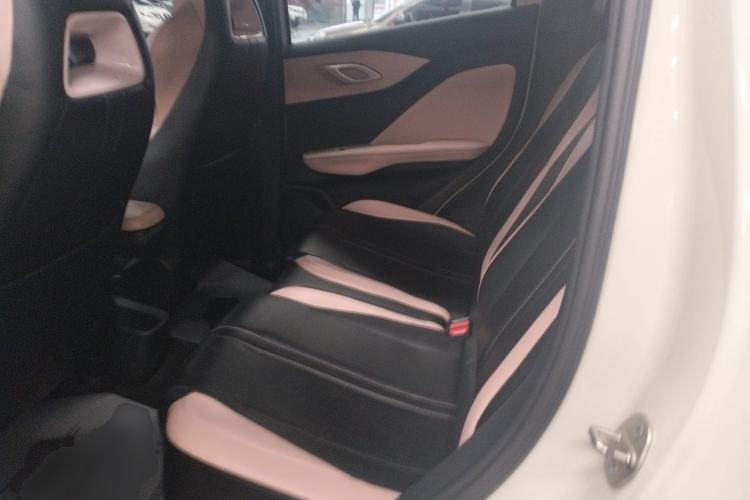 Used BYD Seagull 2023 Free Edition Left Rear Seat