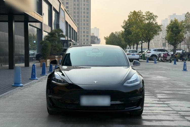 Used Tesla Model 3 (Import) 2019 Long-Range Rear-Wheel-Drive Version