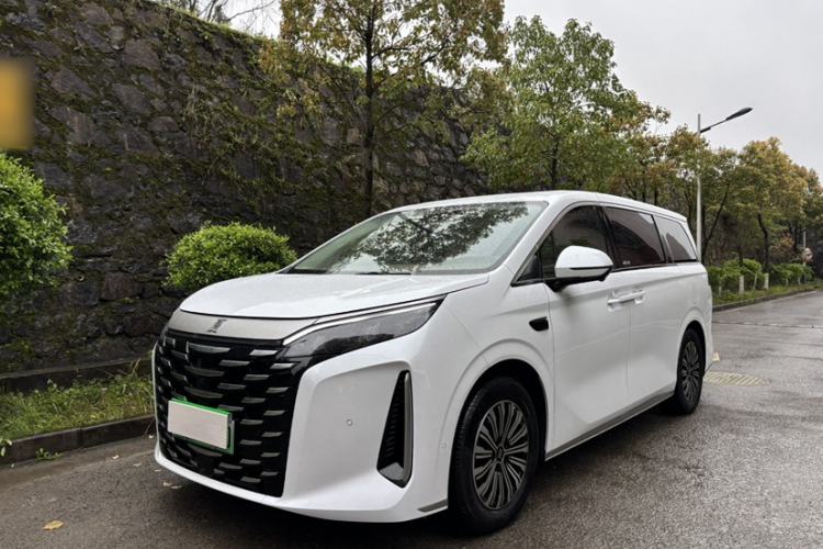 Used BYD Xia 2025 DM-i 1.5T 180km Beyond Edition