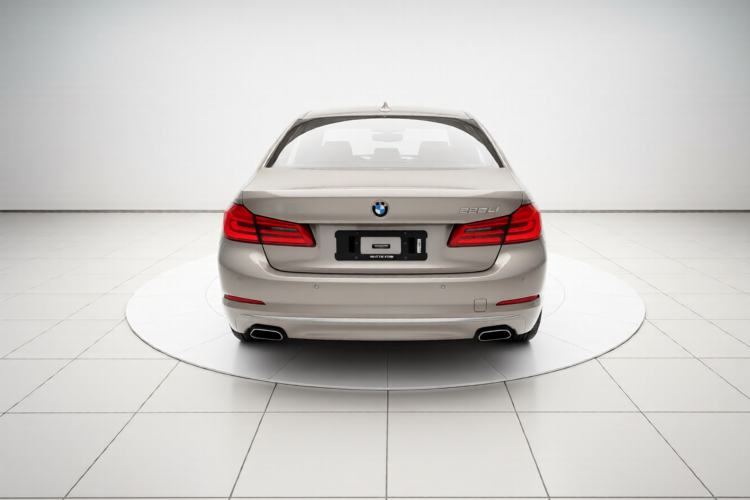 Used BMW 5 Series 2019 525Li Luxury Package Rear