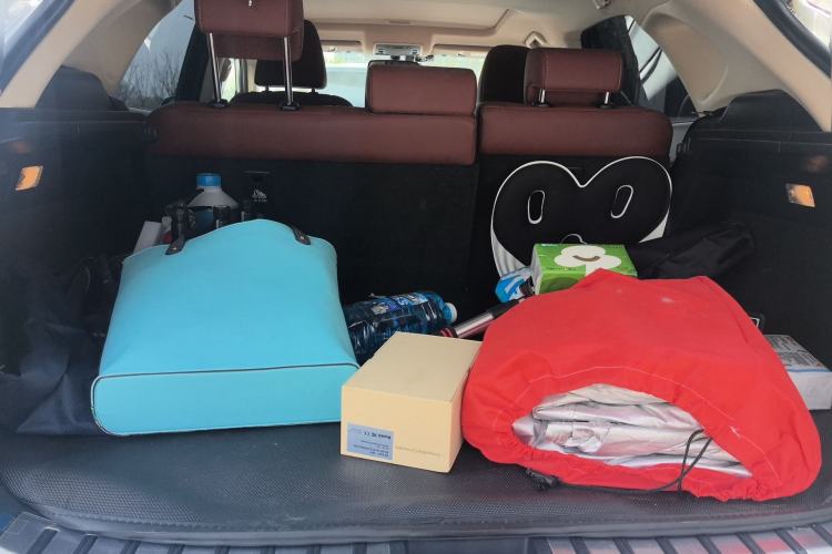 Used Lexus NX 2016 200 All-Wheel Drive FENGSHANG Version Trunk