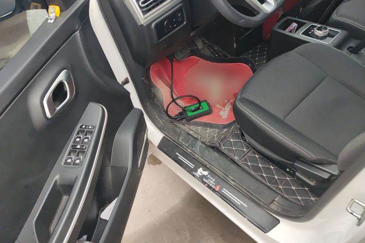 Used Dayun Yuehu 2022 30.66 kWh Two-Wheel Drive Standard Version