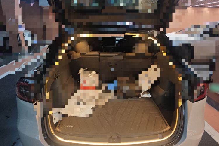 Used Tesla Model Y 2024 Rear-Wheel-Drive Version