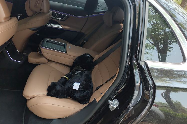 Used Mercedes-Benz E-Class 2024 E 300 L Luxury Sport Model
