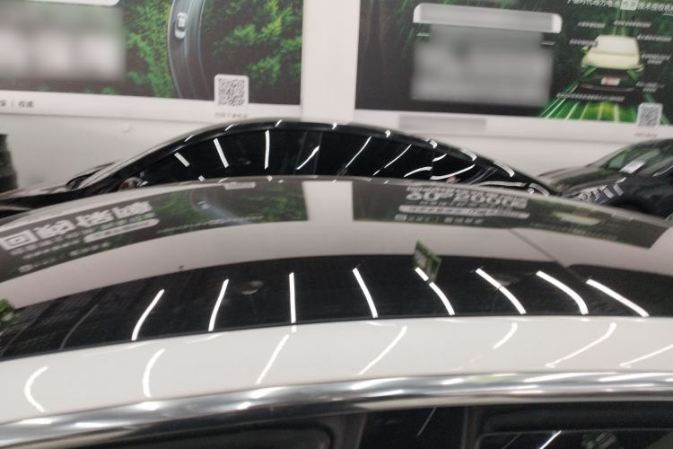 Used Tesla Model 3 2019 Standard Range Rear-Drive Upgraded Version Roof