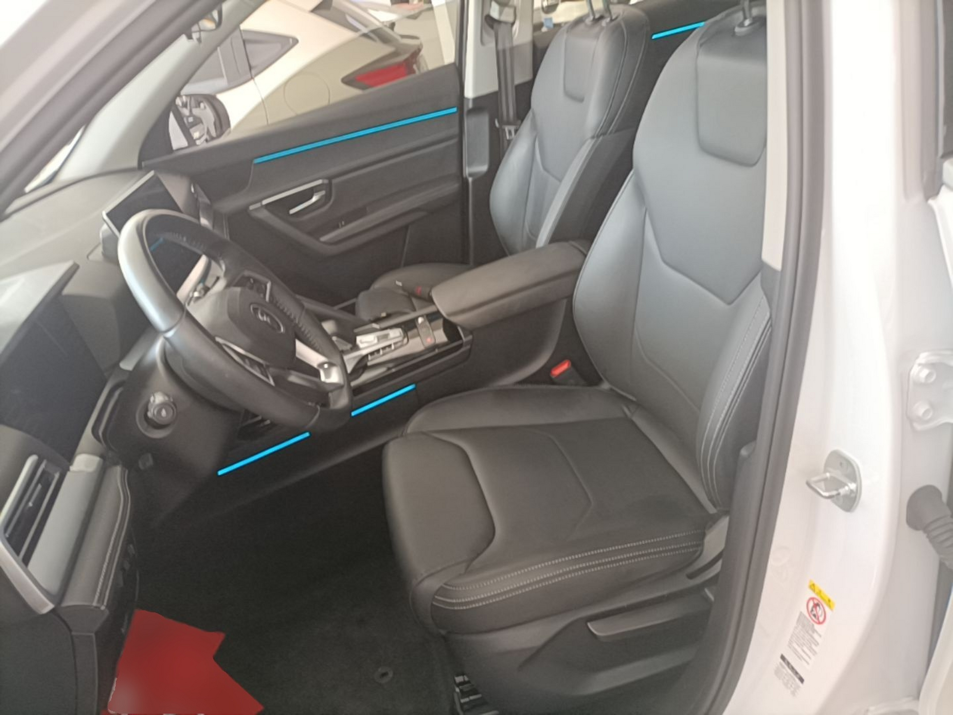 Interior delantero