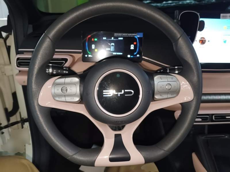 Used BYD Seagull 2025 305km Active Version — 10