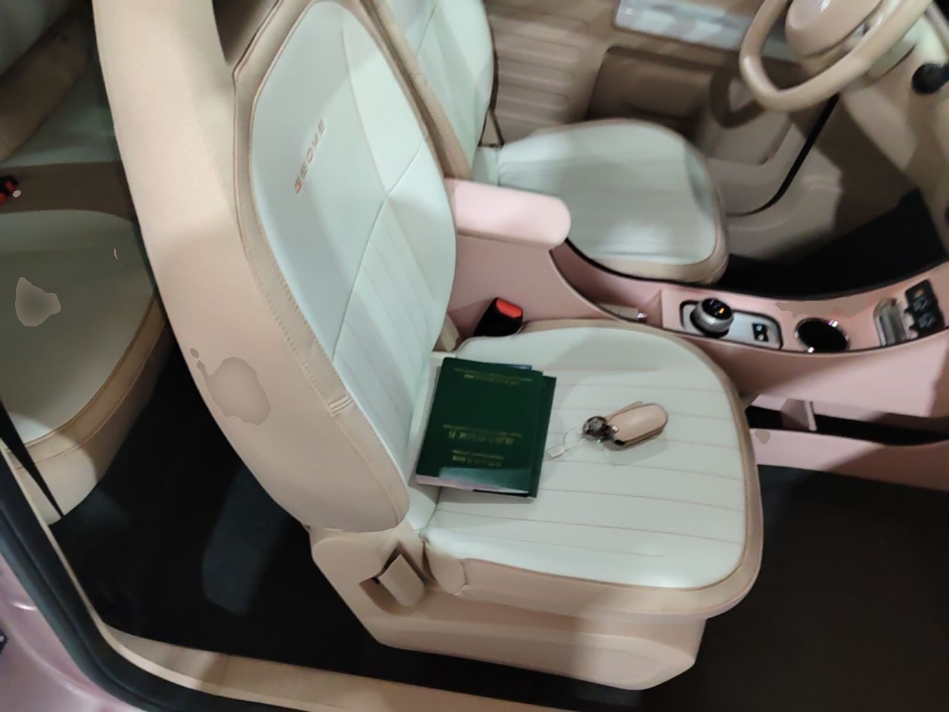 Geely Galaxy Panda 2024 Panda Mini 200km Endurance Bear — снимка 19