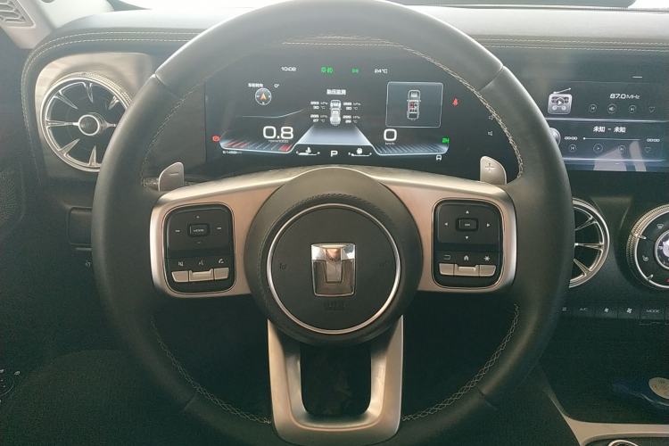 Used Tank 300 2024 2.0T Conqueror