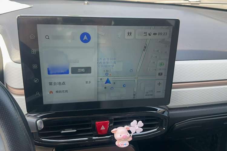 Used SOL E10X 2022 Flower Fairy Style Baby's Breath