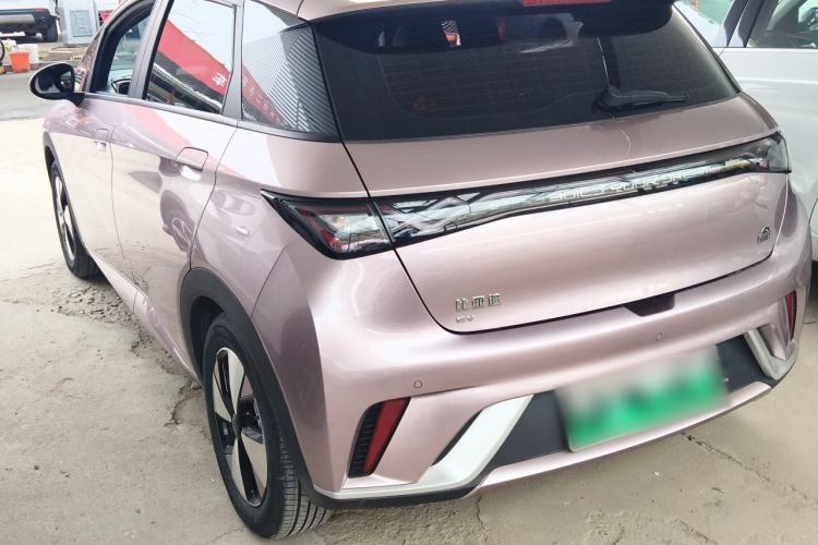 Used BYD Dolphin 2023 420 km Fashion Edition Exterior 2