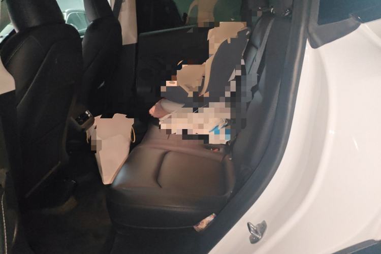 Used Tesla Model Y 2024 Rear-Wheel-Drive Version