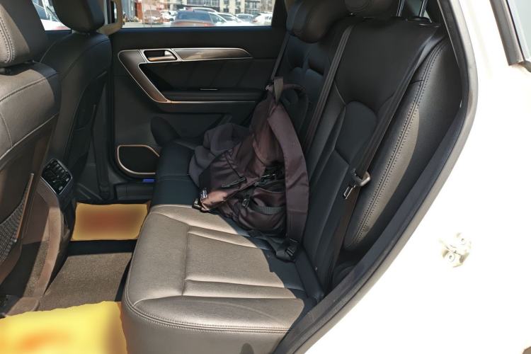 Used Haval H6 Coupe 2015 Blue Label 2.0T Manual Two-Wheel-Drive Elite Model Left Rear Seat