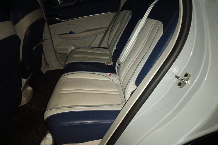 Used Roewe Jing 2022 2.0T Blue Whale Edition Left Rear Seat