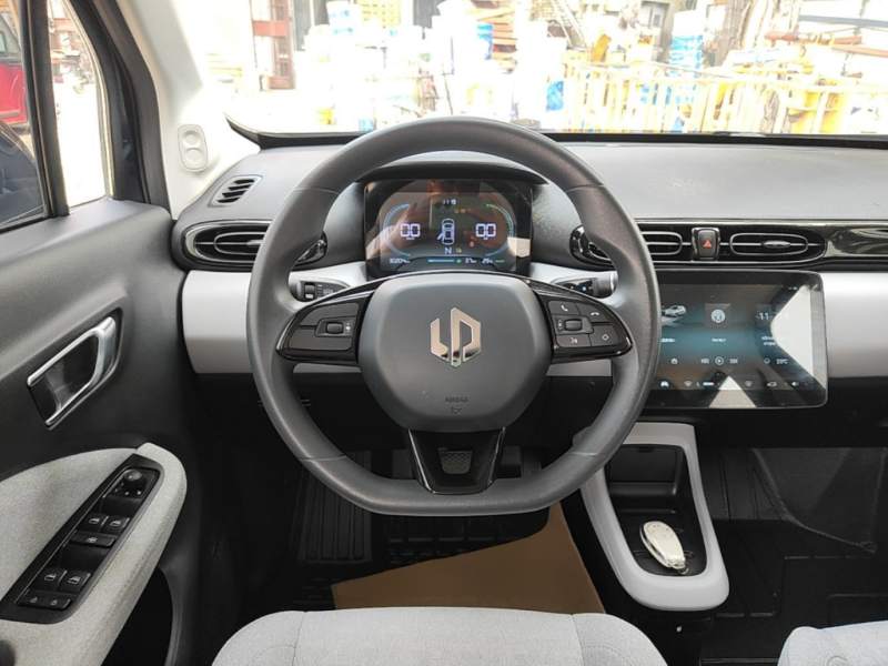 Used Leapmotor T03 2022 Agate Edition — 10