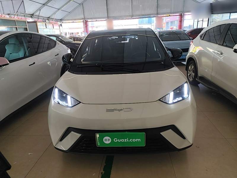 Used BYD Seagull 2023 Free Edition — 2