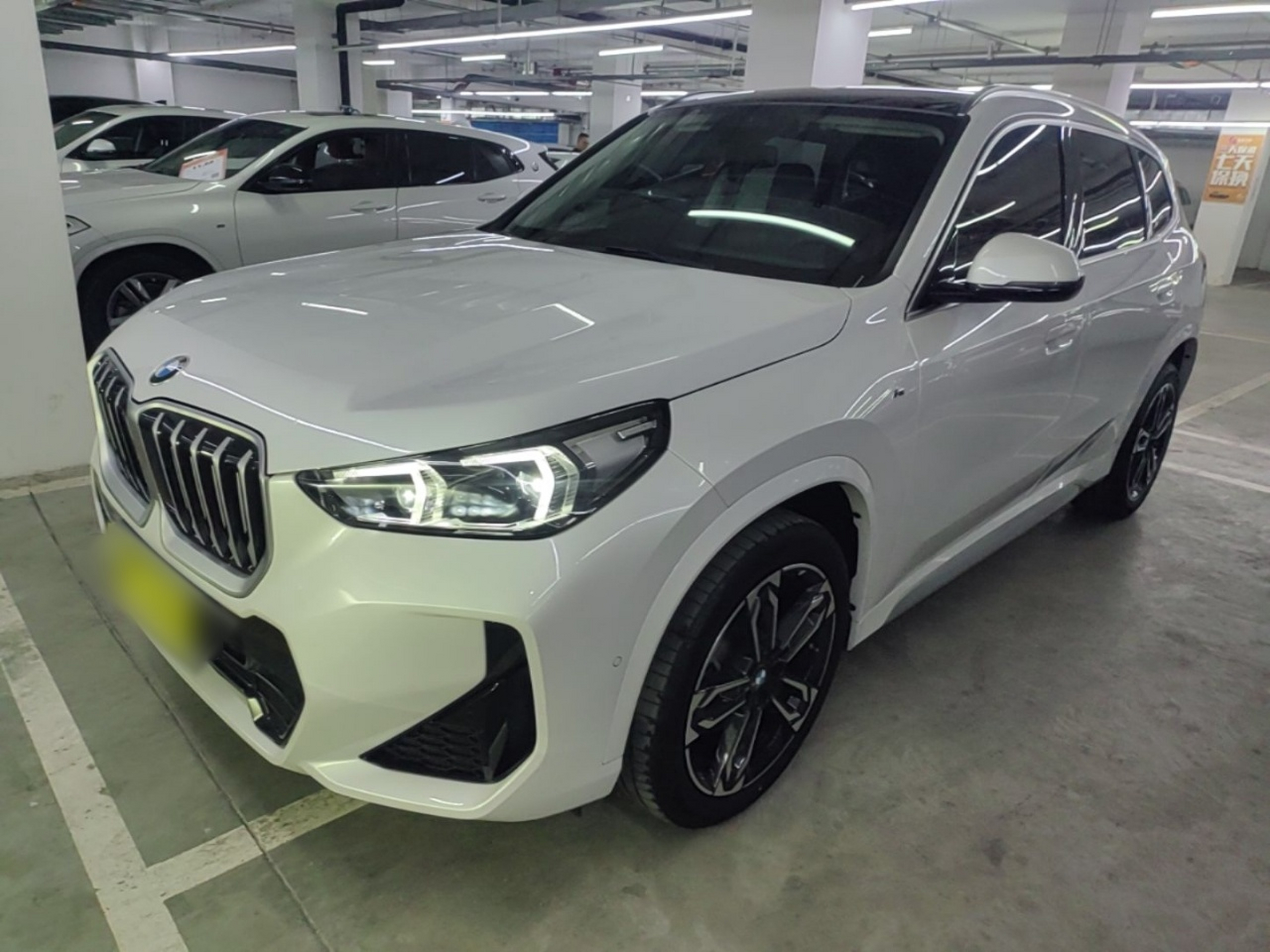 Under Front Bumper