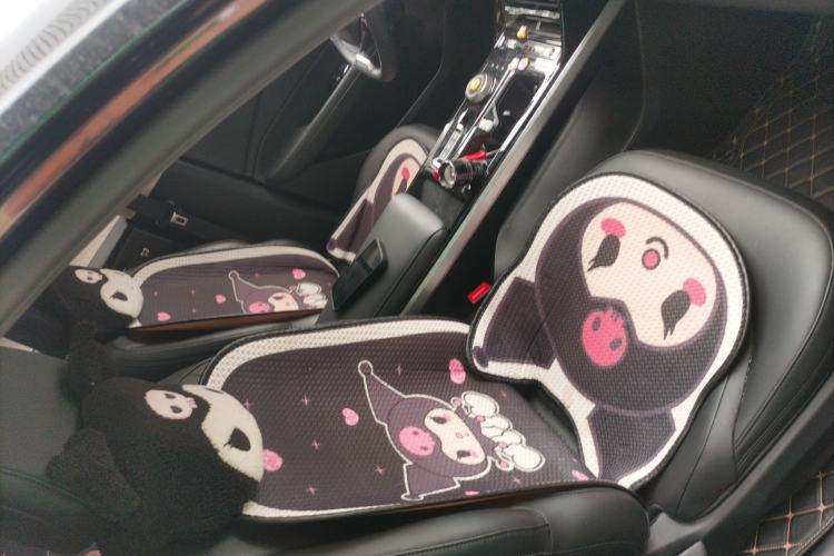 Used Wuling Xingguang 2023 150 Advanced Edition Right Front Seat