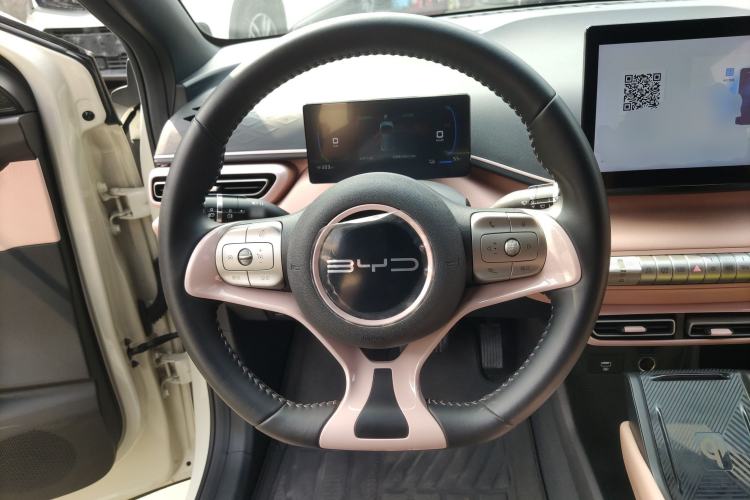 Used BYD Seagull 2023 Flying Edition
