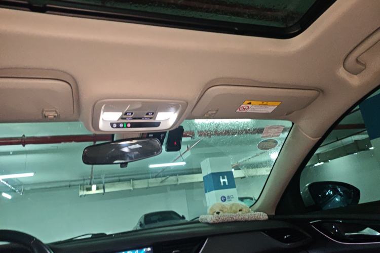 Used Buick Regal 2019 20T Elite Version China VI Standard
