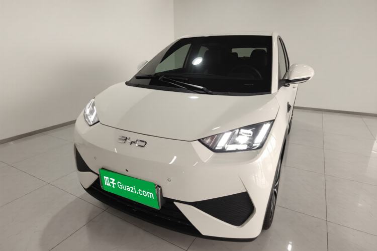 Used BYD Seagull 2025 Smart Drive Version 305 km Freedom Edition