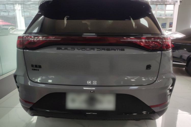 Used BYD Tang New Energy 2025 DM-i 115KM Prestige Model