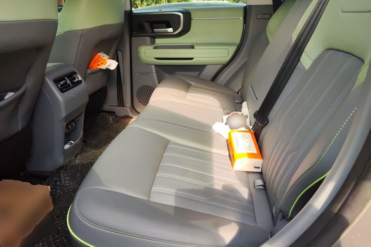 Used BAIC Off-Road BJ40 2024 2.0T All-New Urban Hunter Edition Chivalrous Style Left Rear Seat