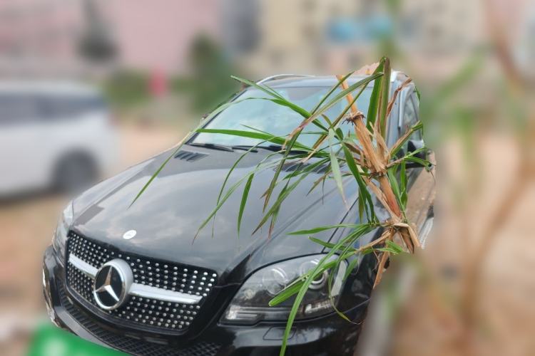 Used Mercedes-Benz M-Class 2010 ML 350 4MATIC Luxury Special Edition