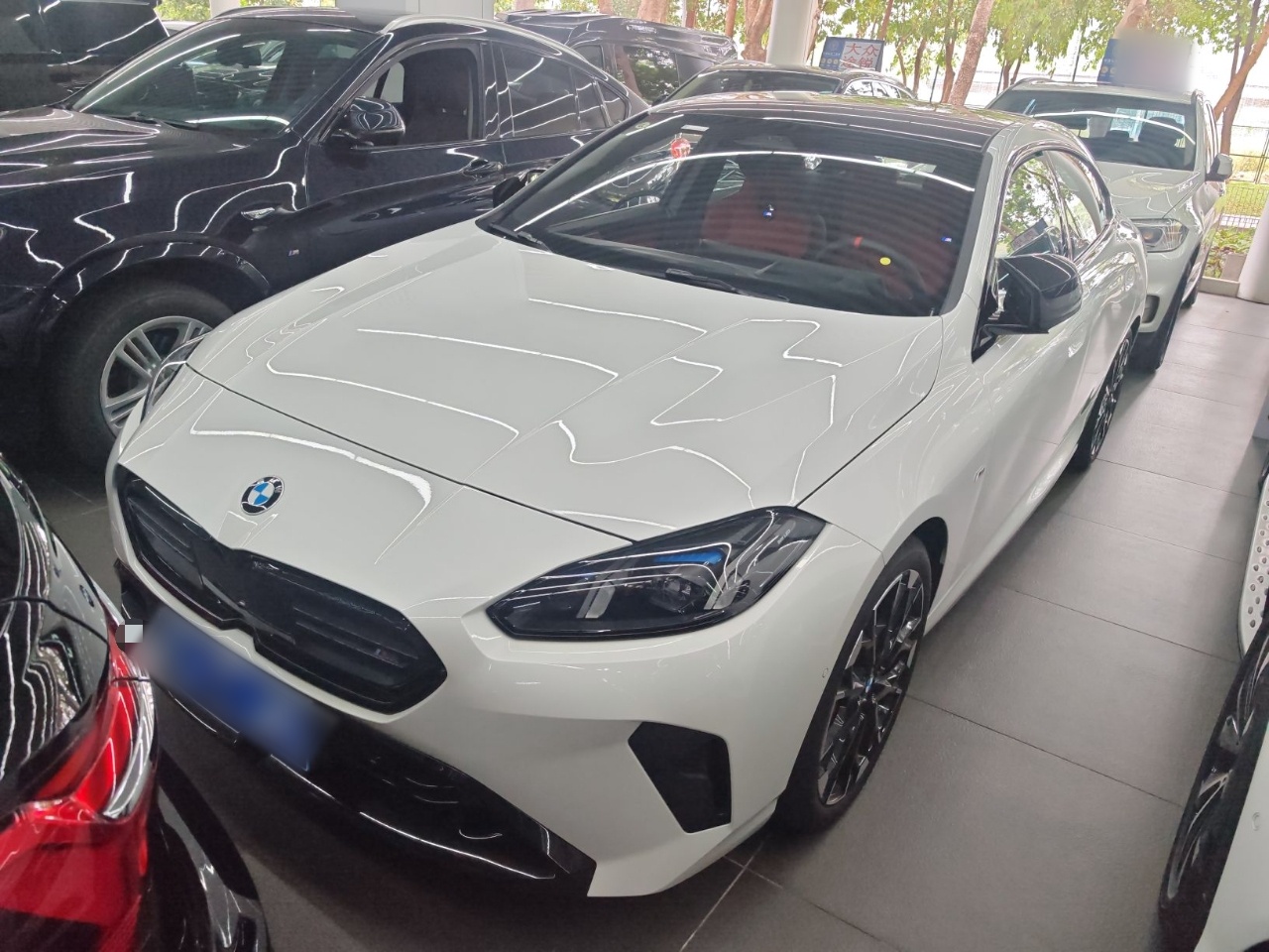 Parte inferior delantera