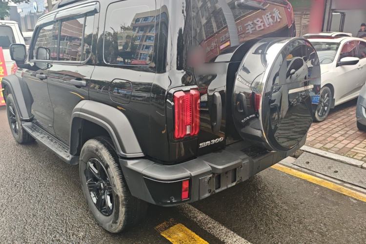 Used Tank 300 2024 2.0T Conqueror