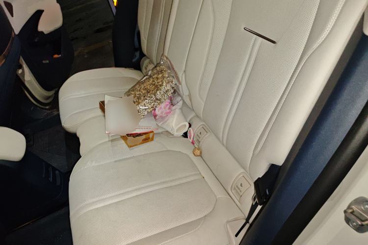 Used Zeekr X 2023 Rear-Drive YOU Edition 4 Seats Left Rear Seat