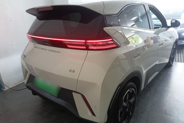 Used BYD Seagull 2024 Honor Edition 305km Freedom Version Rear Right 45 Deg