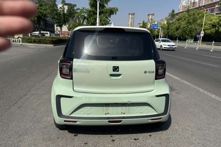 Used SOL E10X 2022 Flower Fairy Style Baby's Breath