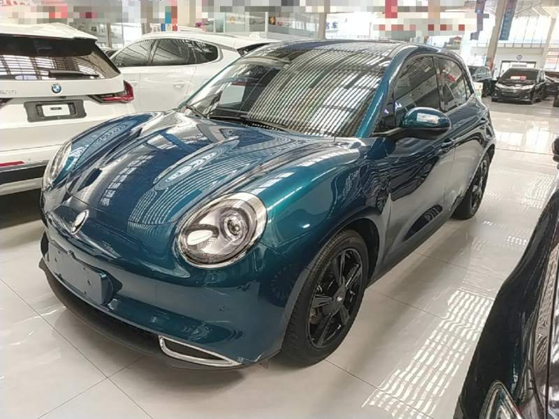 Used ORA Good Cat 2024 501 km Luxury Version – Luxury
