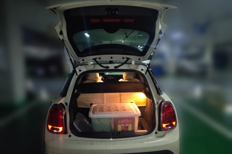 Used MINI MINI 2022 1.5T COOPER Artist Five-Door Edition