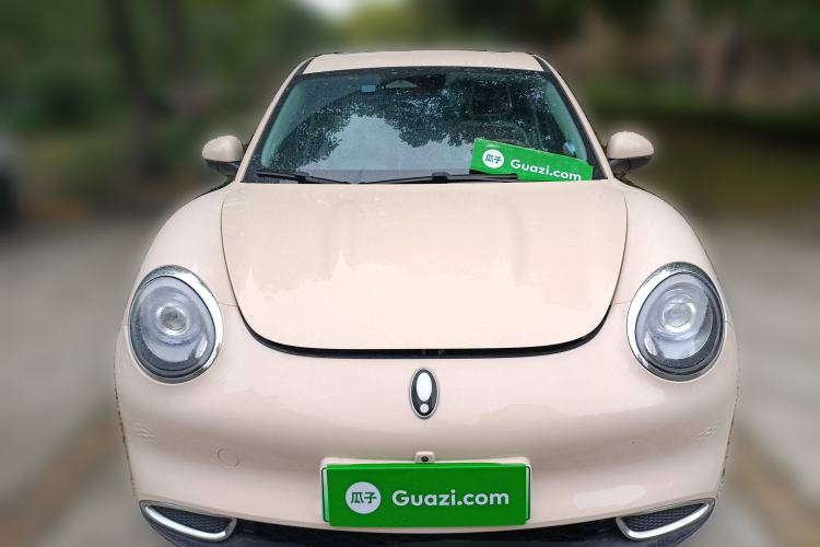 Used ORA Good Cat 2023 401 km Standard Range Premium Version Lithium Iron Phosphate
