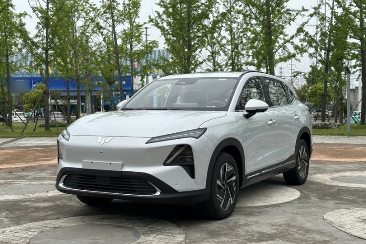 Used Wuling Xingguang S 2024 130 km Flagship Version